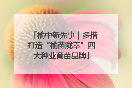 榆中新先事｜多措打造“榆苗陇萃”四大种业育苗品牌