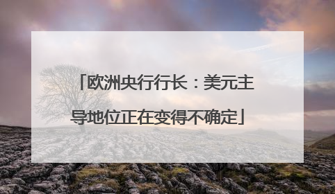 欧洲央行行长：美元主导地位正在变得不确定