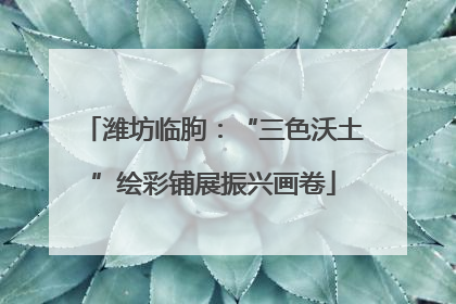 潍坊临朐：“三色沃土”绘彩铺展振兴画卷