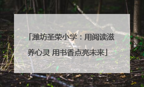 潍坊圣荣小学：用阅读滋养心灵 用书香点亮未来