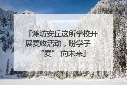 潍坊安丘这所学校开展麦收活动，盼学子 “麦” 向未来