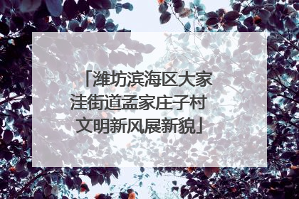 潍坊滨海区大家洼街道孟家庄子村文明新风展新貌