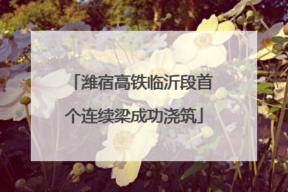 潍宿高铁临沂段首个连续梁成功浇筑