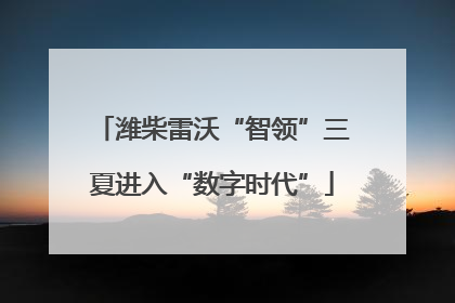 潍柴雷沃“智领”三夏进入“数字时代”