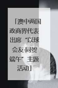 澳中两国政商界代表出席“以球会友·同贺端午”主题活动