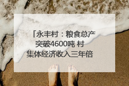 永丰村：粮食总产突破4600吨 村集体经济收入三年倍增｜牵挂的村