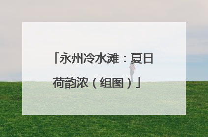 永州冷水滩：夏日荷韵浓（组图）