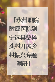永州职院附属医院到宁远县桑梓头村开展乡村振兴专题调研