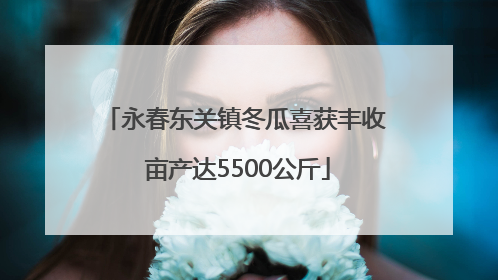 永春东关镇冬瓜喜获丰收 亩产达5500公斤