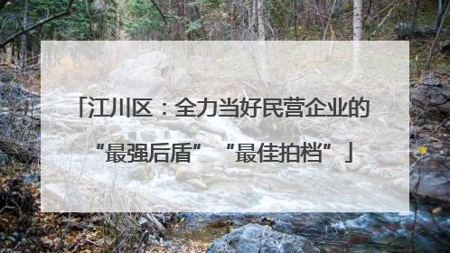 江川区：全力当好民营企业的“最强后盾”“最佳拍档”