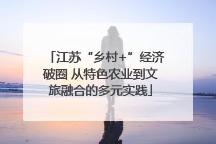 江苏“乡村+”经济破圈 从特色农业到文旅融合的多元实践