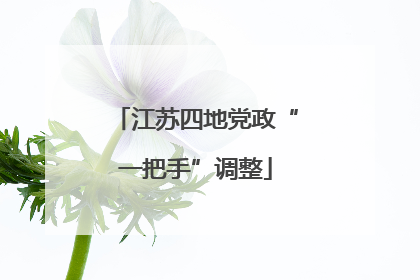 江苏四地党政“一把手”调整