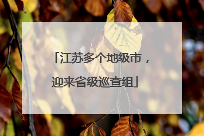 江苏多个地级市，迎来省级巡查组