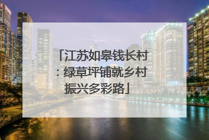 江苏如皋钱长村：绿草坪铺就乡村振兴多彩路