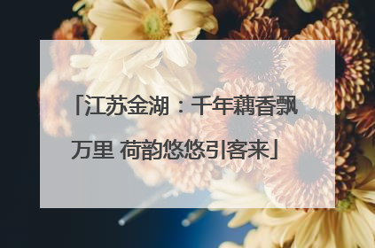 江苏金湖：千年藕香飘万里 荷韵悠悠引客来