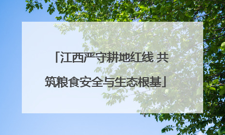 江西严守耕地红线 共筑粮食安全与生态根基