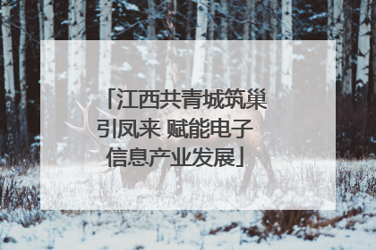 江西共青城筑巢引凤来 赋能电子信息产业发展