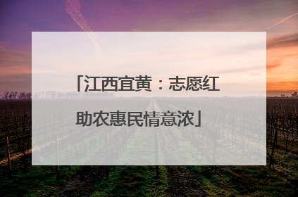 江西宜黄：志愿红助农惠民情意浓