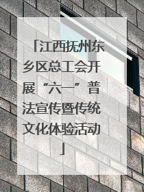 江西抚州东乡区总工会开展“六一”普法宣传暨传统文化体验活动