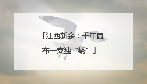 江西新余：千年夏布一支独“绣”