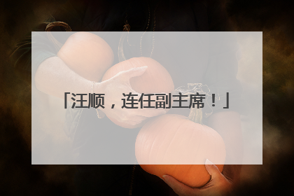 汪顺，连任副主席！