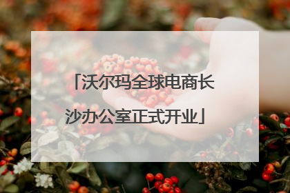 沃尔玛全球电商长沙办公室正式开业