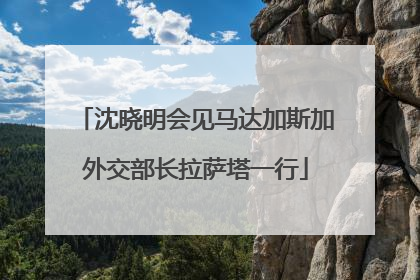 沈晓明会见马达加斯加外交部长拉萨塔一行
