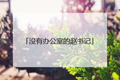 没有办公室的赵书记