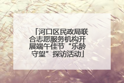 河口区民政局联合志愿服务机构开展端午佳节“乐龄守望”探访活动