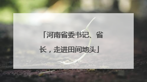 河南省委书记、省长，走进田间地头