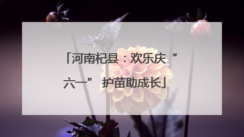 河南杞县：欢乐庆“六一” 护苗助成长