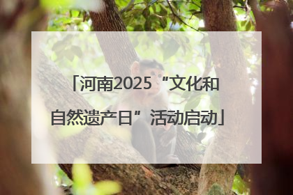 河南2025“文化和自然遗产日”活动启动