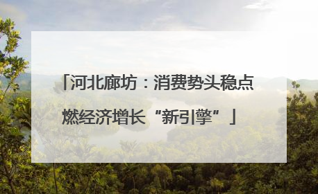 河北廊坊：消费势头稳点燃经济增长“新引擎”
