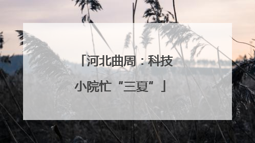 河北曲周：科技小院忙“三夏”