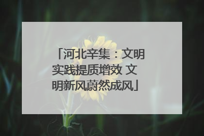 河北辛集：文明实践提质增效 文明新风蔚然成风
