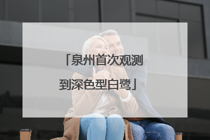 泉州首次观测到深色型白鹭