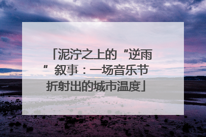 泥泞之上的“逆雨”叙事：一场音乐节折射出的城市温度
