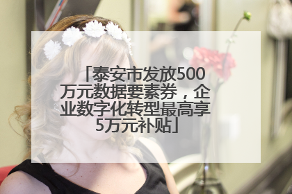 泰安市发放500万元数据要素券，企业数字化转型最高享5万元补贴