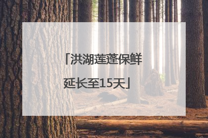 洪湖莲蓬保鲜延长至15天