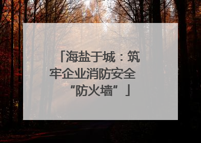 海盐于城：筑牢企业消防安全“防火墙”
