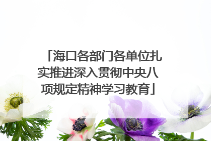 海口各部门各单位扎实推进深入贯彻中央八项规定精神学习教育