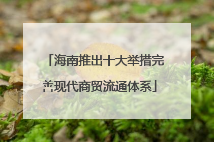 海南推出十大举措完善现代商贸流通体系