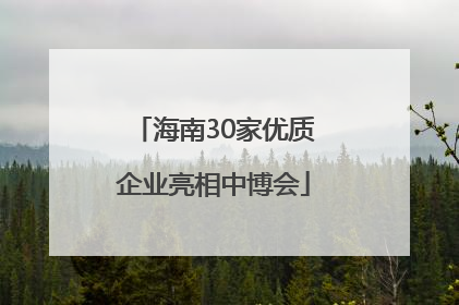 海南30家优质企业亮相中博会