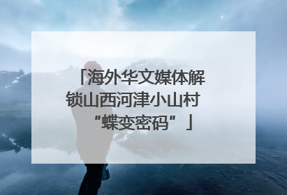 海外华文媒体解锁山西河津小山村“蝶变密码”