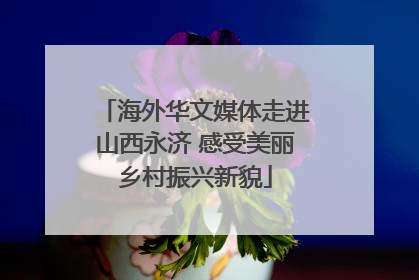 海外华文媒体走进山西永济 感受美丽乡村振兴新貌