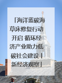 海洋蓝碳海草床修复行动开启 循环经济产业助力低碳社会建设丨新经济观察