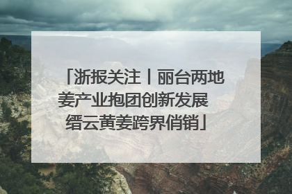 浙报关注丨丽台两地姜产业抱团创新发展 缙云黄姜跨界俏销