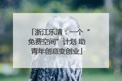 浙江乐清：一个“免费空间”计划 助青年创意变创业
