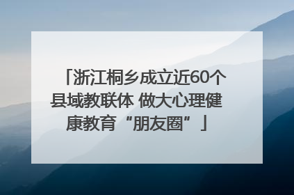浙江桐乡成立近60个县域教联体 做大心理健康教育“朋友圈”