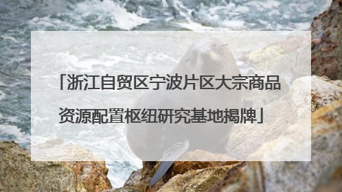 浙江自贸区宁波片区大宗商品资源配置枢纽研究基地揭牌